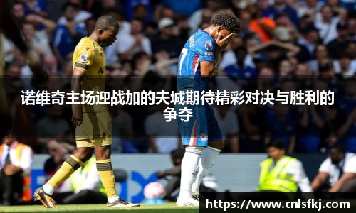 诺维奇主场迎战加的夫城期待精彩对决与胜利的争夺